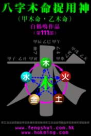 八字木命捉用神