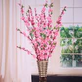 風水習俗之2015年花桃花